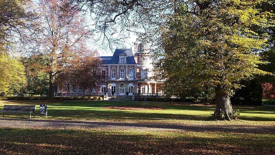 castle, brasschaat, antwerp, tree, plant, architecture, building exterior HD wallpaper