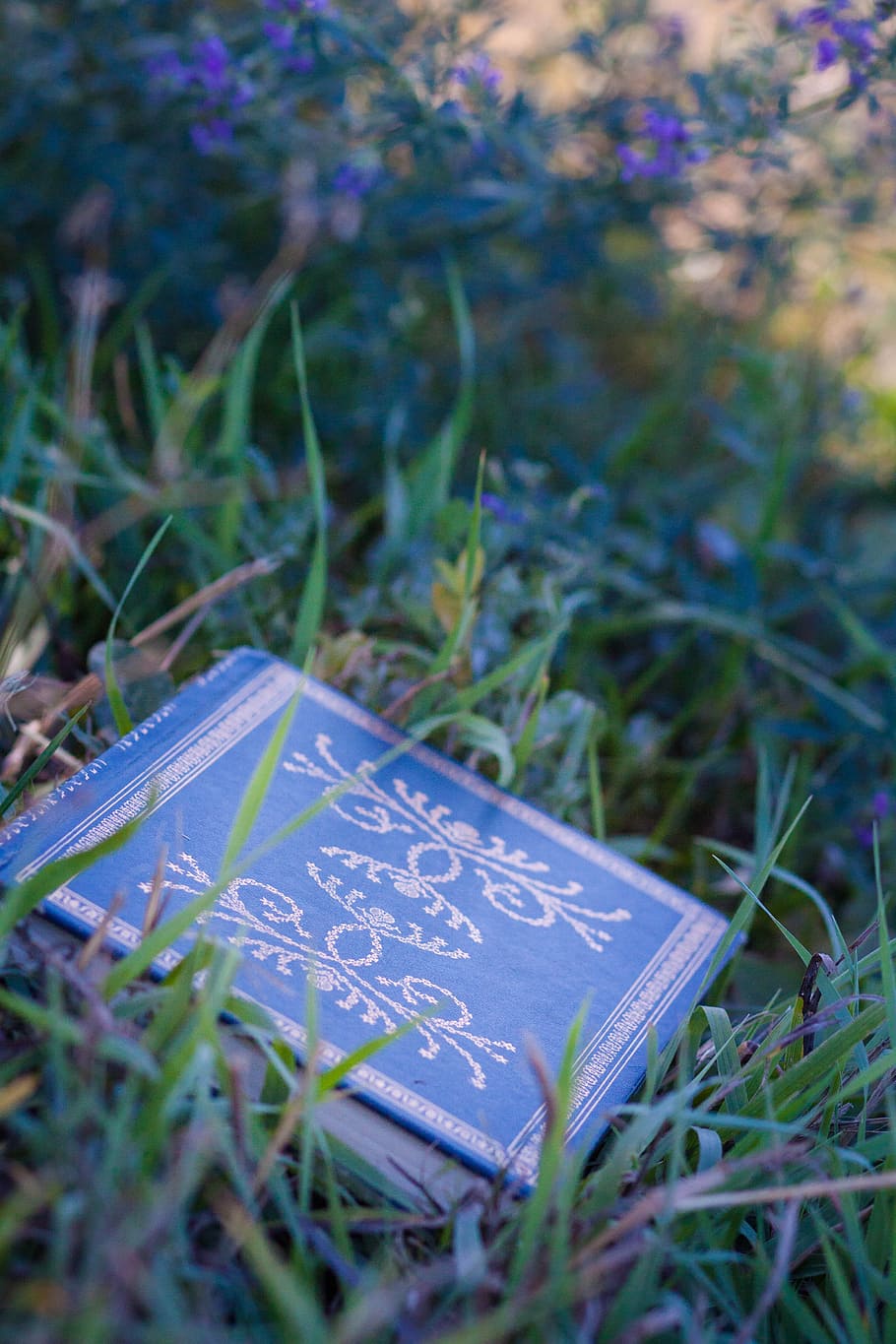 Grass, Green, Reading Book, Summer, spring, leisure, blue, fantasy HD wallpaper