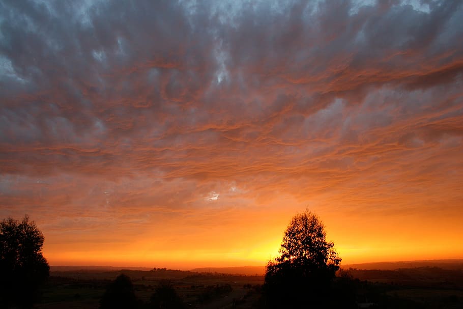 sunset, sky, fire, cloudscape, evening, atmosphere, horizon HD wallpaper