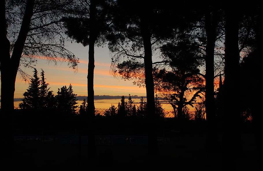 landscape, sunset, trees, shadows, sky, natural landscape, silhouette HD wallpaper