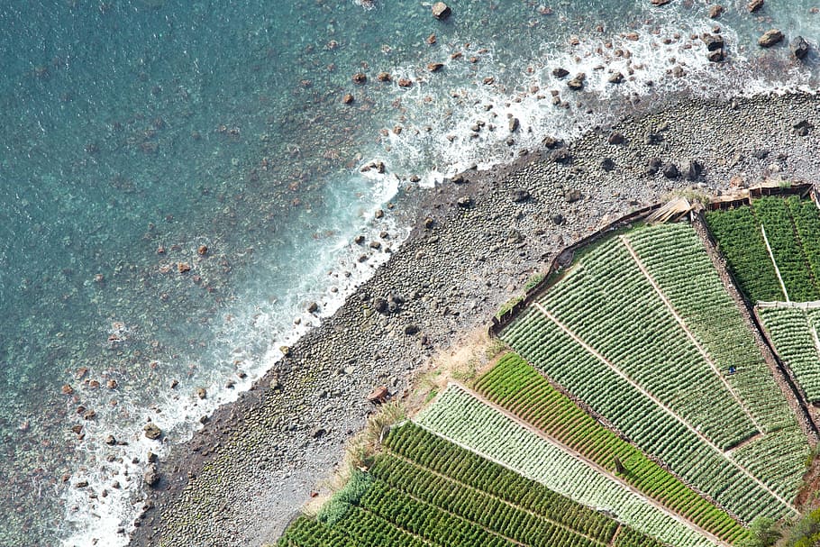 aerial photography of shoreline with farm, aerial photo green grass near water during daytime HD wallpaper
