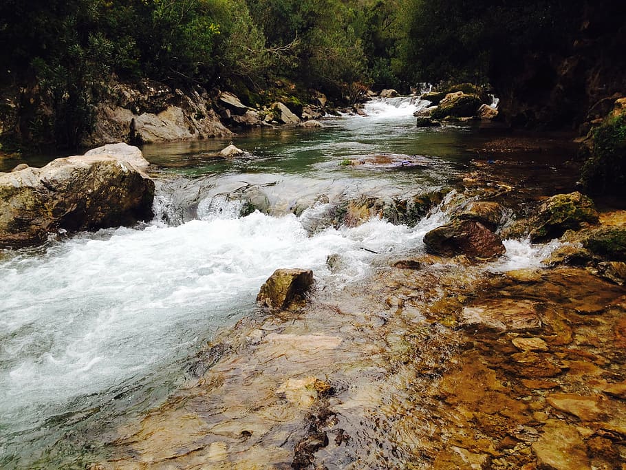cascade, creek, fall, flow, forest, landscape, motion, nature HD wallpaper