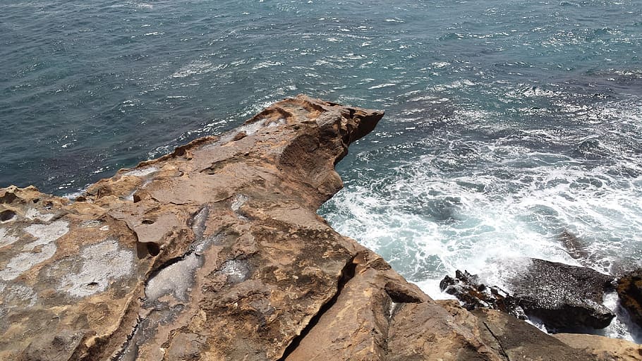 Holiday, Spain, Rock, sea, one animal, animal wildlife, animals in the wild HD wallpaper