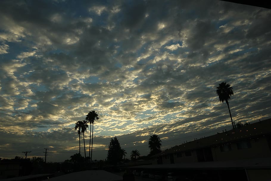 sky, palm tree, cloud, sunset, cloud - sky, silhouette, architecture HD wallpaper