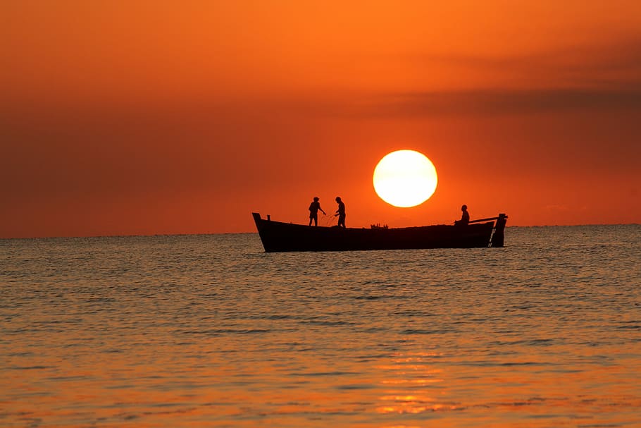 silhouette of persons riding row boat, sunset, sea, water, dawn