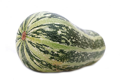 green watermelon, zucchini, phallic, squash, gourd, close-up HD wallpaper