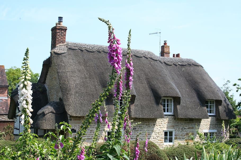 cottage, thatch, house, built structure, building exterior HD wallpaper