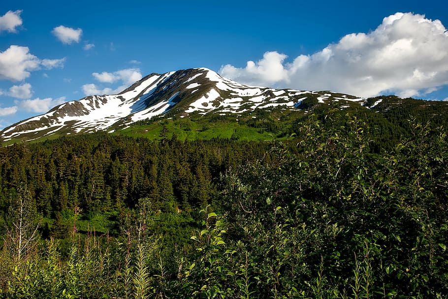 chugach national forest, alaska, landscape, scenic, snowcap, HD wallpaper