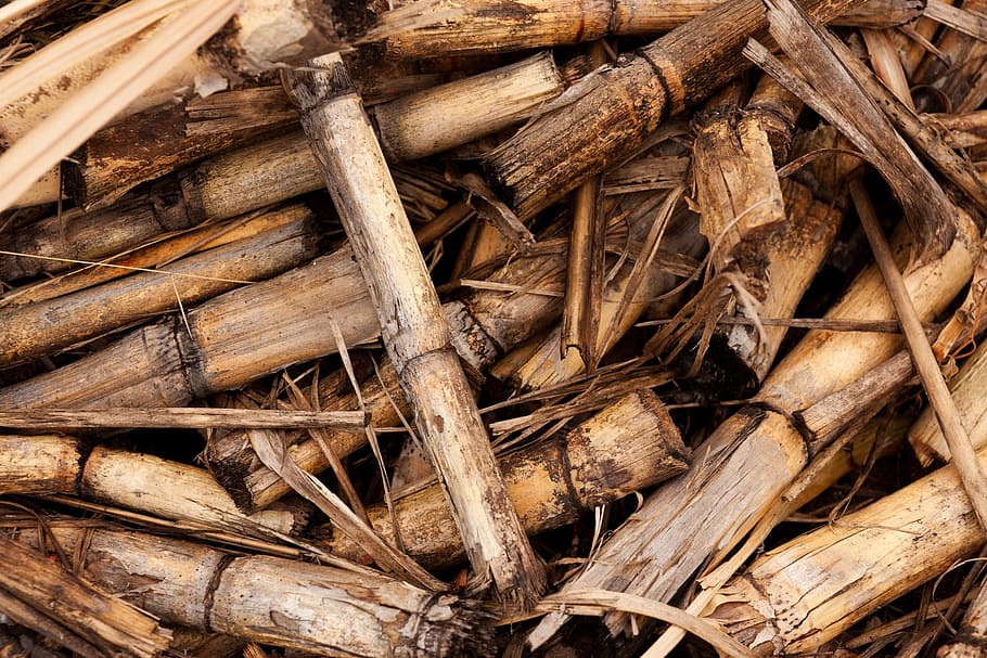 brown bamboo sticks, background, biomass, crop, cut, harvest, HD wallpaper