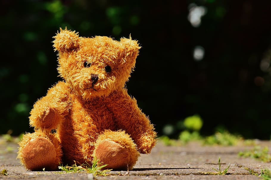 bear, teddy, soft toy, stuffed animal, teddy bear, brown bear, HD wallpaper