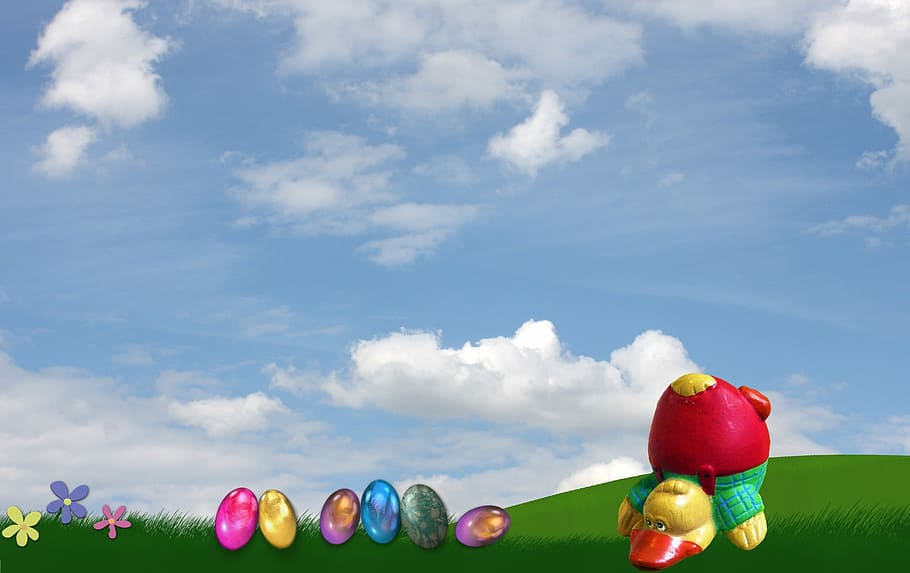 Duck, Easter Eggs, funny, standing on your head, sky, blue HD wallpaper
