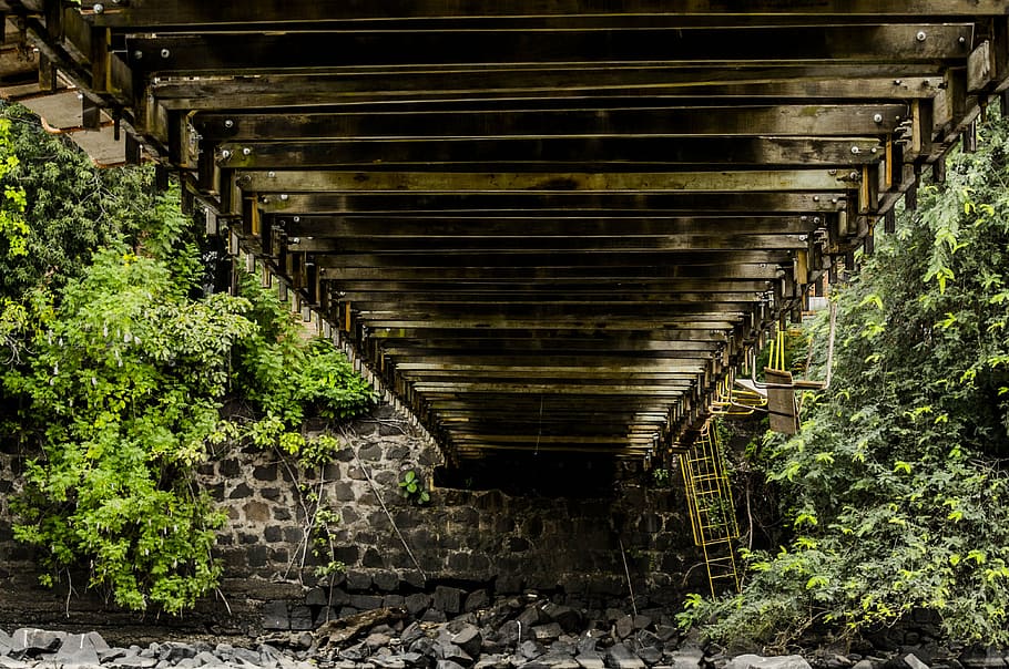 bridge, architecture, landscape, no people, plant, the way forward HD wallpaper
