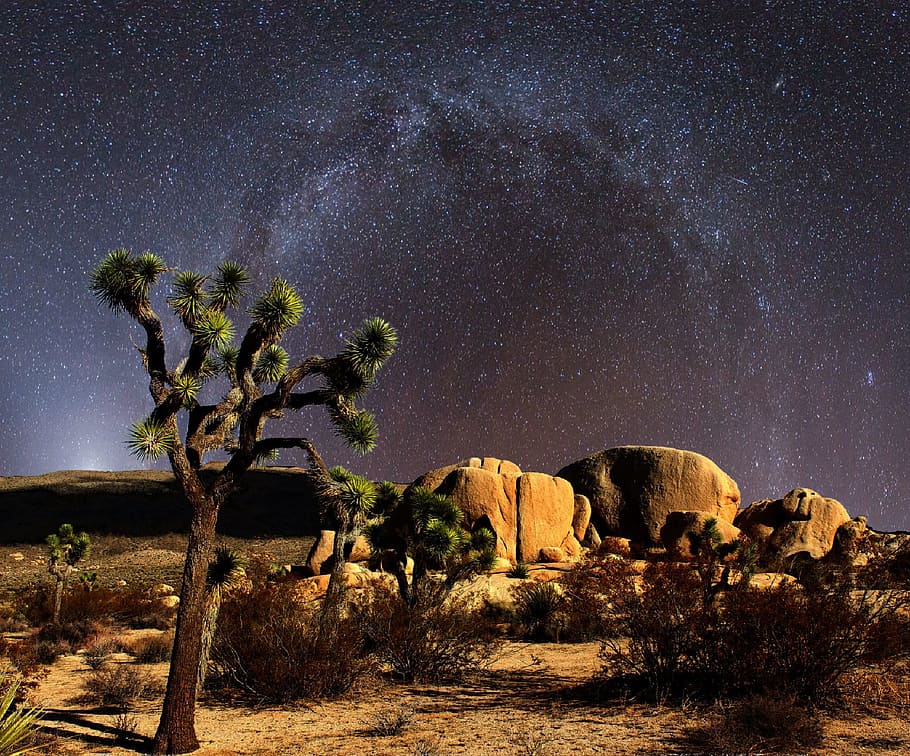 hd-wallpaper-trees-near-rock-star-sky-milky-way-night-starry-sky