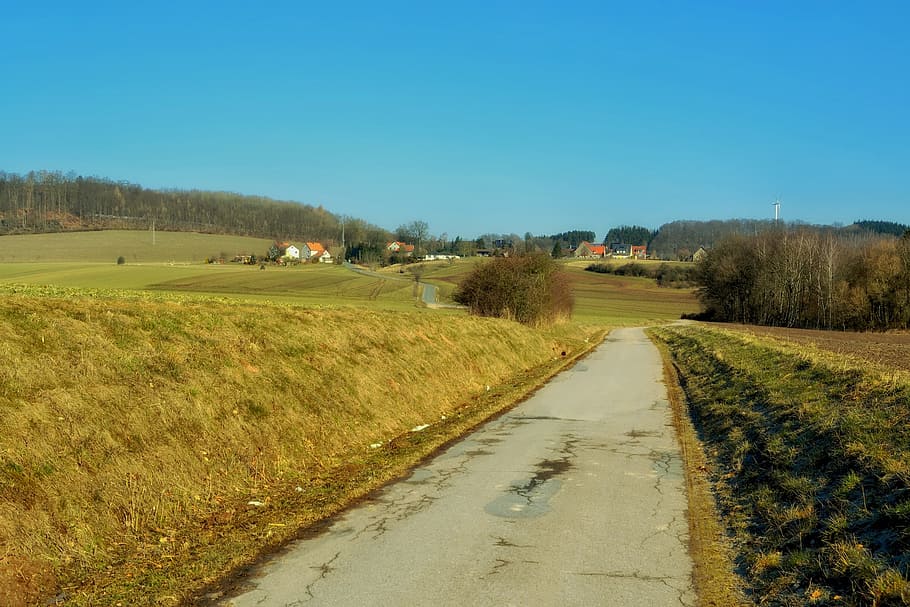 detmold, germany, road, forest, trees, landscape, scenic, village HD wallpaper