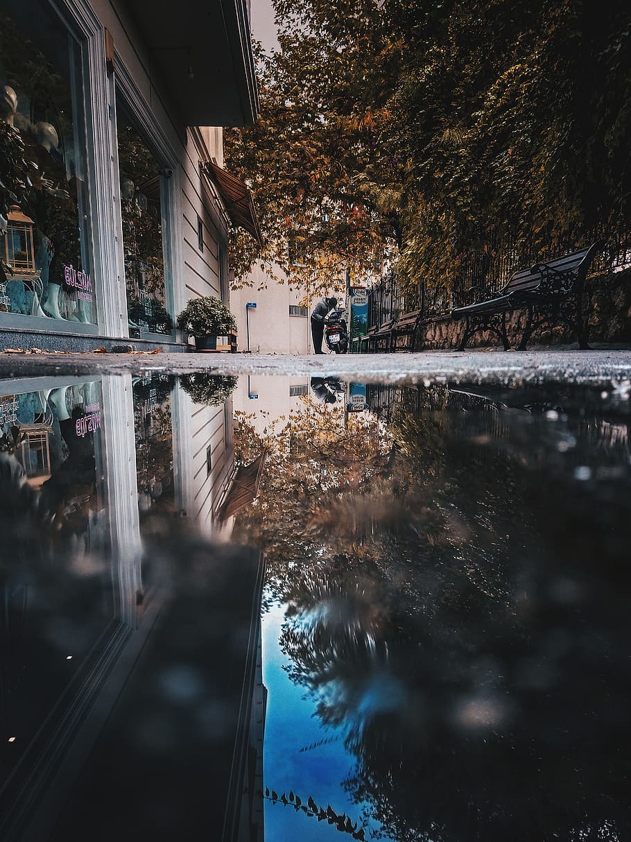 Puddle, outdoors, person, reflection, road, street, water, building exterior HD wallpaper