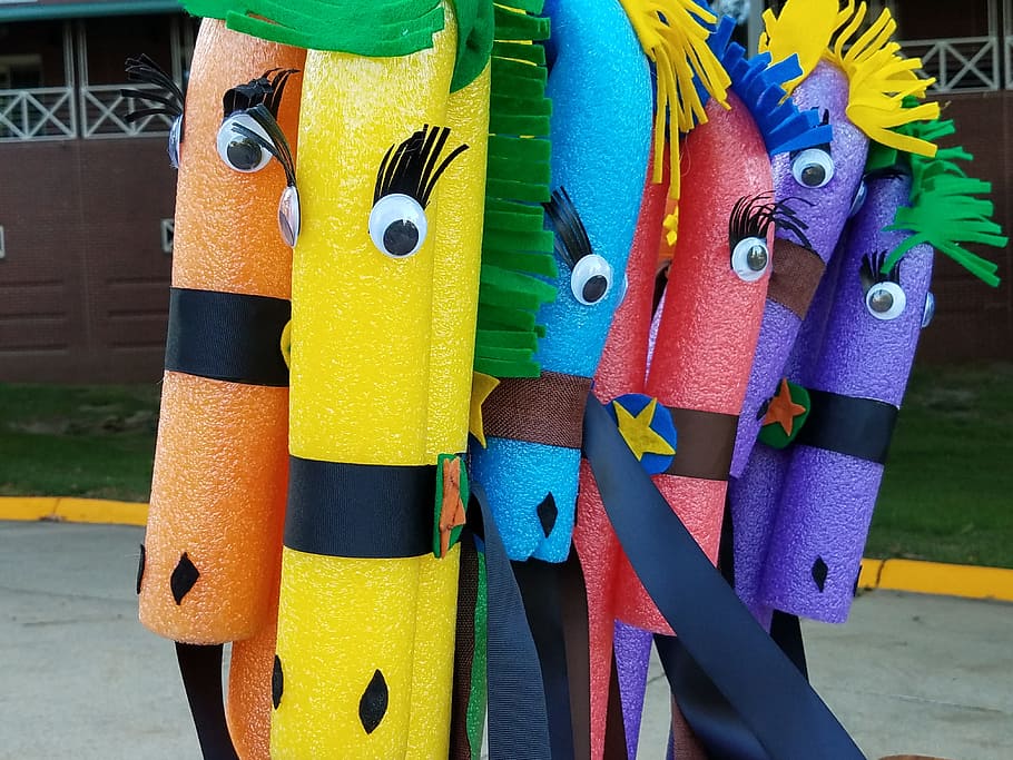pony, pool, noodle, multi colored, no people, day, choice, close-up HD wallpaper