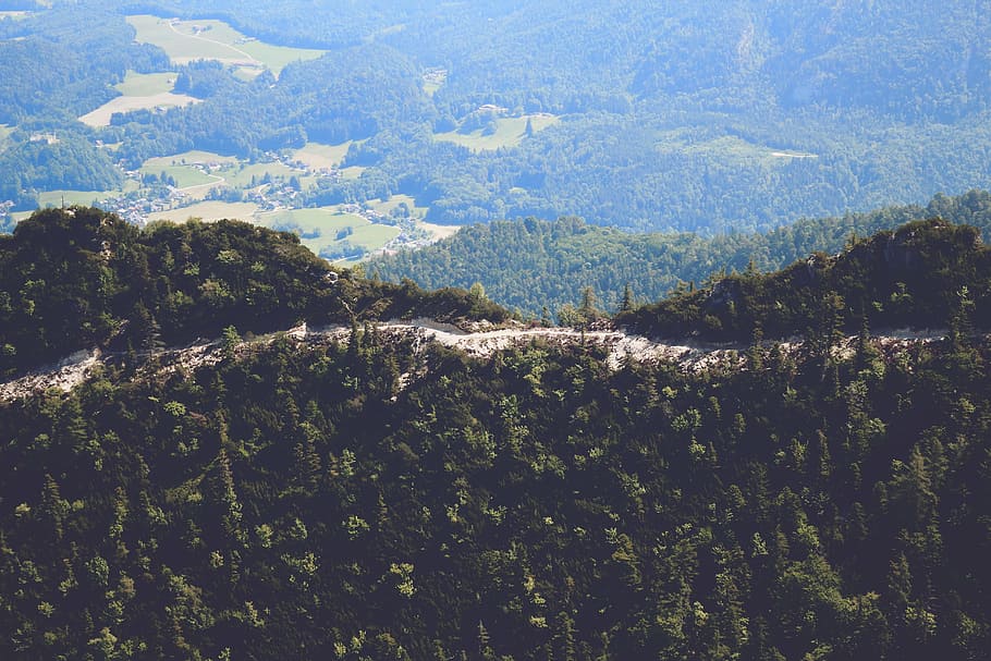 mountain, path, hiking, panorama, view, mountains, tree, beauty in nature HD wallpaper
