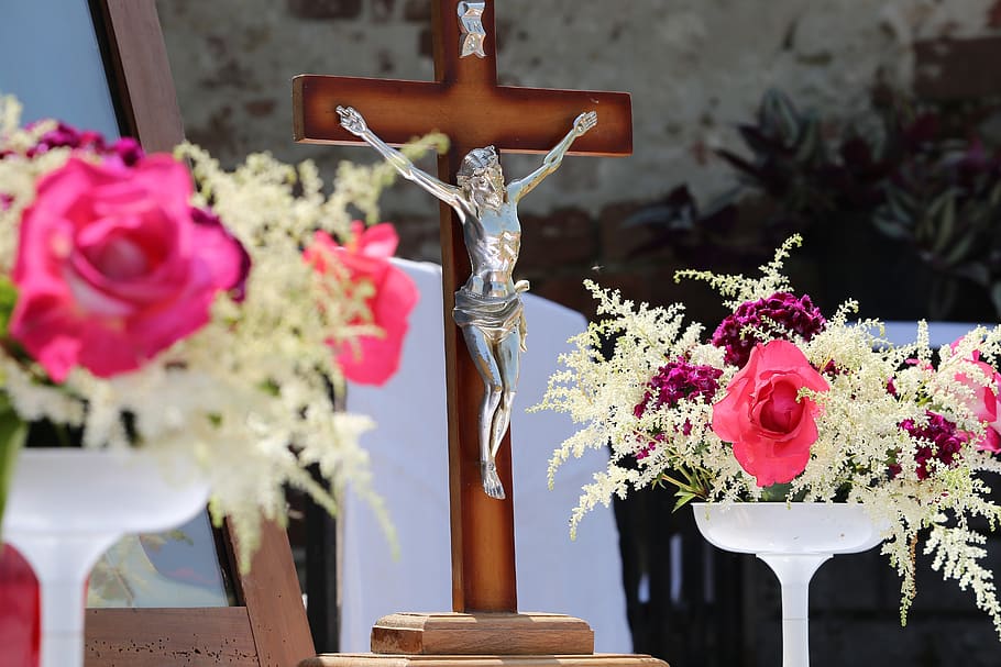 corpus christi feast, pink roses, procession, tradition, holiday
