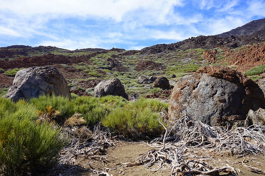 lava, rock, basalt, trail, path, teide, teide national park HD wallpaper