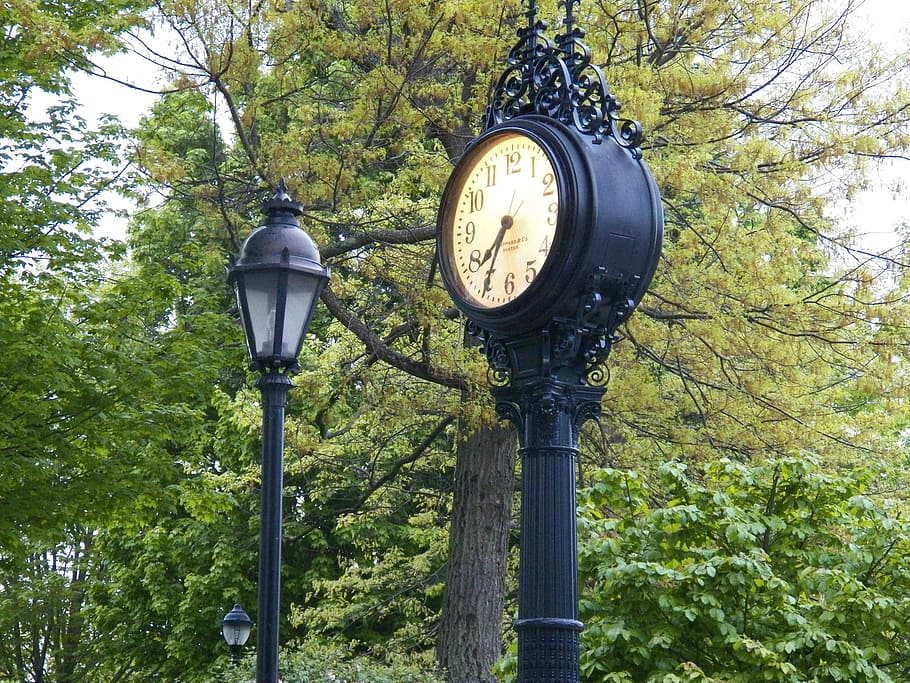 black metal analog pedestal clock near tree, Time, Hours, Seconds, HD wallpaper