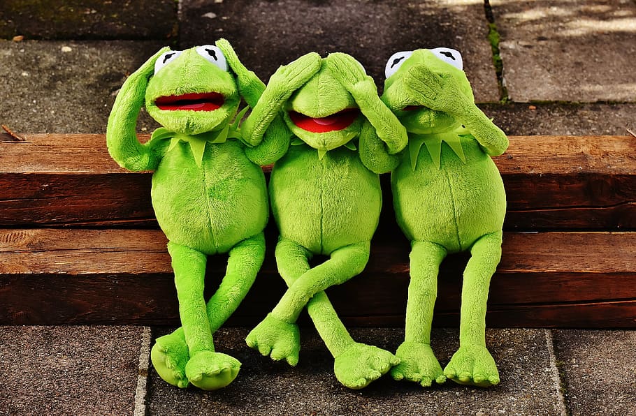 three frog plush toys, not hear, not see, do not speak, funny, HD wallpaper