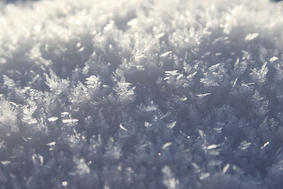 frost, snow, winter, white, denmark, crystal, selective focus HD wallpaper