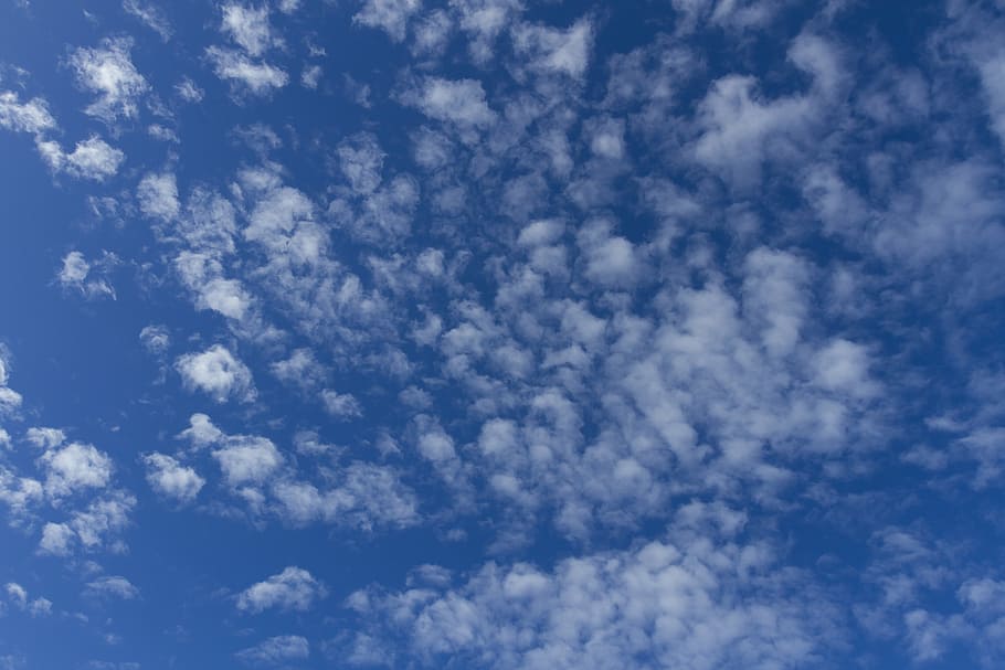clouds, blue sky, sunny, cloud - sky, beauty in nature, low angle view HD wallpaper