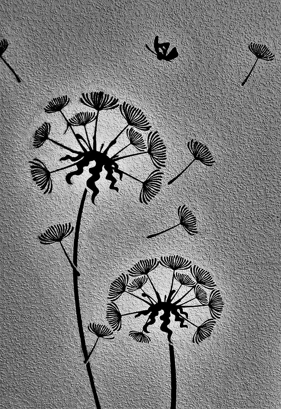 2-dandelion illustration, background, s w, flora, abstract, wall - building feature, HD wallpaper
