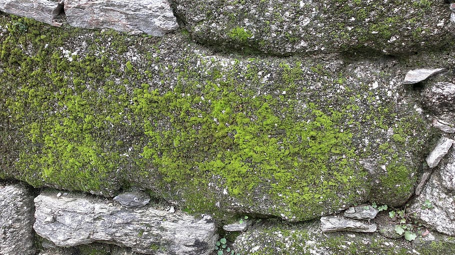 stone, wall, moss, texture, backgrounds, pattern, rough, material HD wallpaper