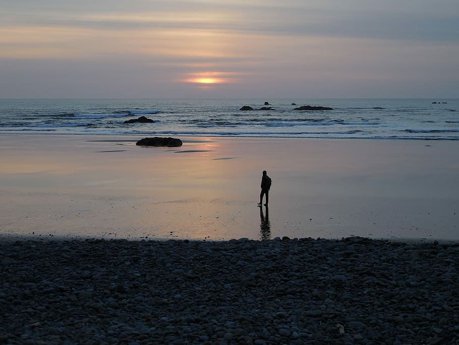 Sunset, Seashore, Seascape, Coast, sky, beach, solitary figure HD wallpaper