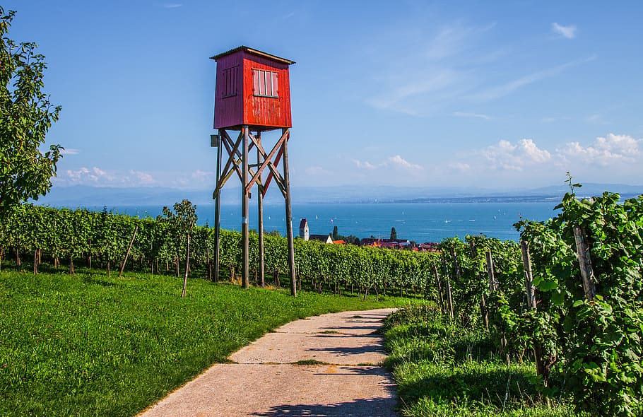 vineyard, tower, red, building, red tower, lake constance, plant HD wallpaper