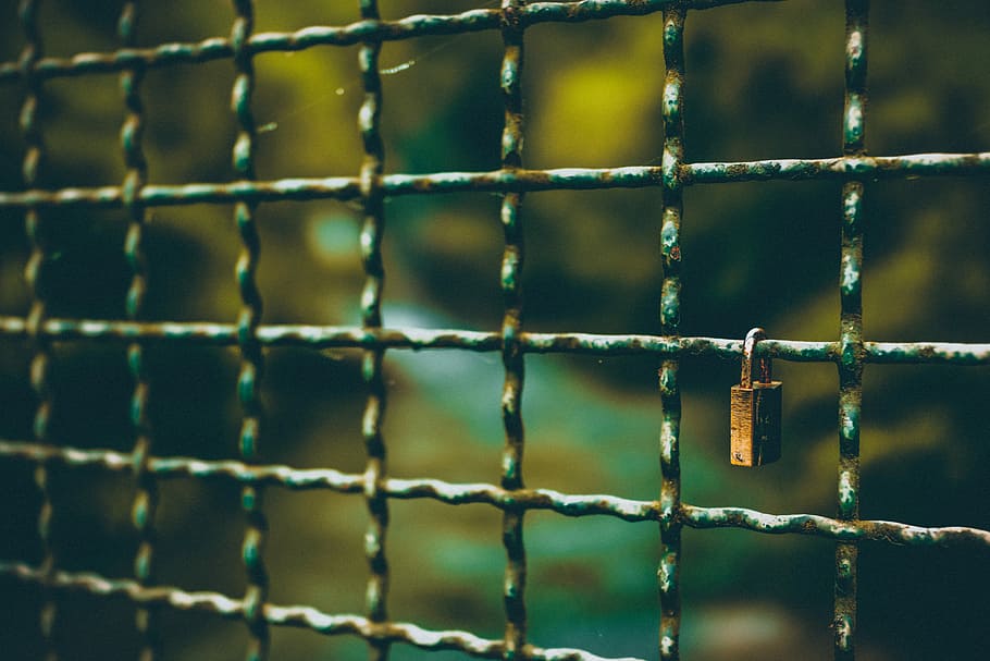 brown padlock, brown metal padlock locked in gray metal fence HD wallpaper