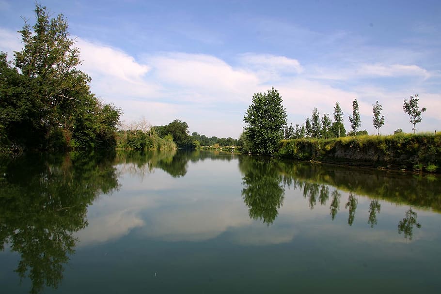 reflections, trees, river, mirror, water, charente, plant, lake, HD wallpaper