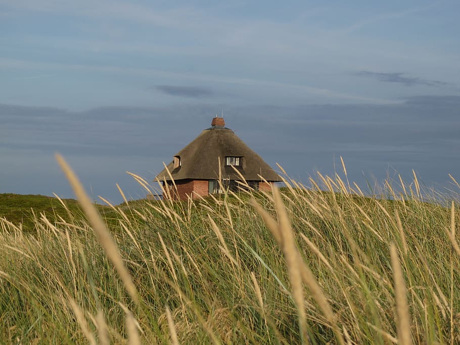 landscape, dunes, sylt, plant, sky, growth, built structure HD wallpaper