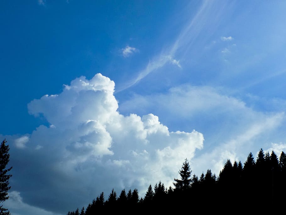 Облака времена года. Forest Spring Blue Sky.