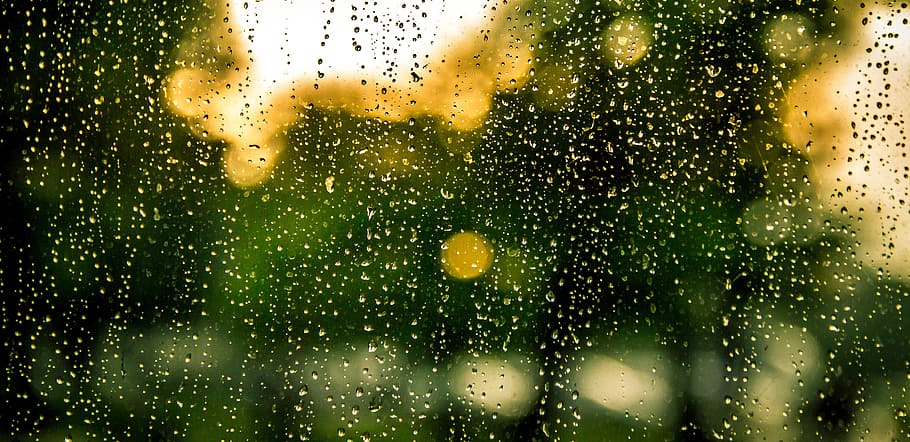 rain, water, drops, raindrops, window, wet, transparent, liquid HD wallpaper