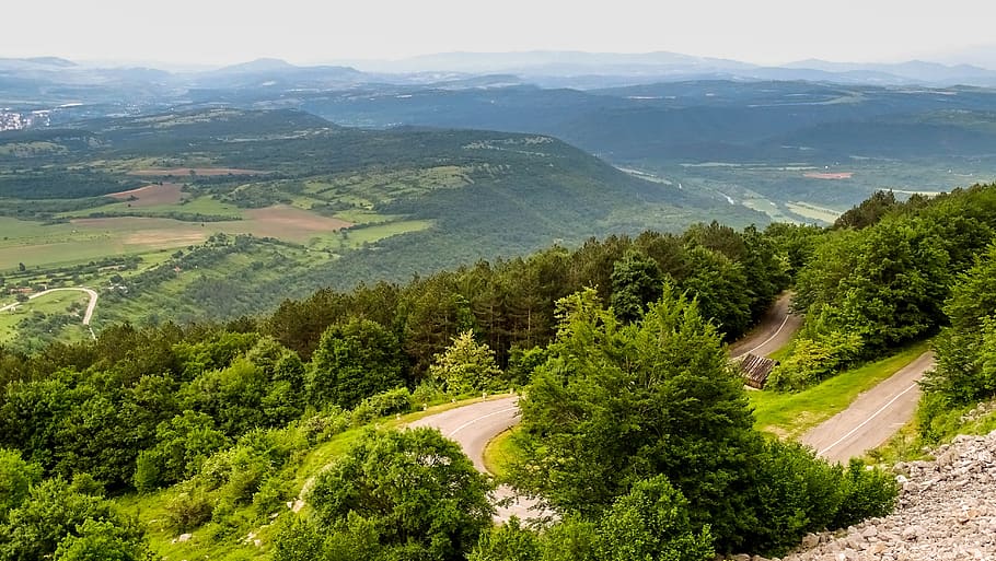 mountain, way, nature, tree, plant, scenics - nature, beauty in nature HD wallpaper