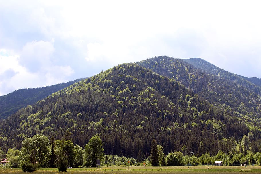 landscape, mountain, nature, tree, beauty in nature, plant HD wallpaper