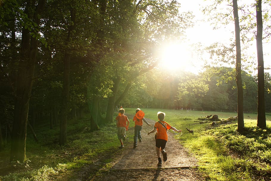 three children running on forest trail, year, people, relax HD wallpaper