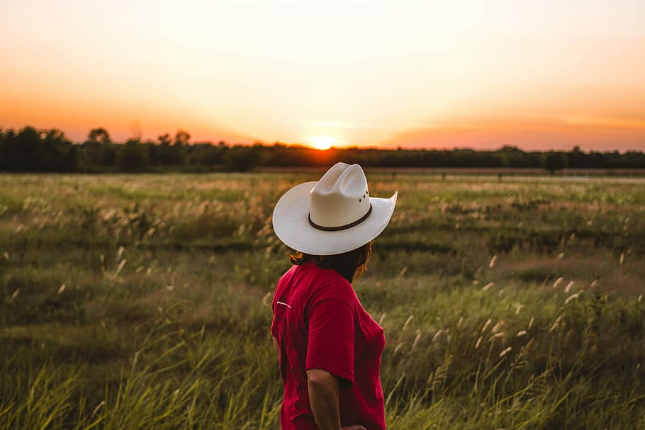 person standing near green grass under golden sky, person in red shirt wearing white cowboy hat standing on grass field during golden hour