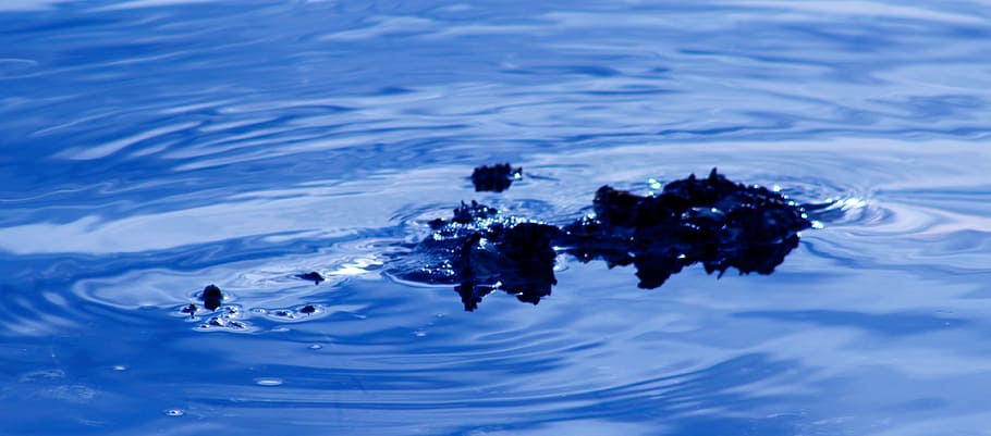 water, rocks, ripples, nature, stone, natural, outdoor, ocean HD wallpaper