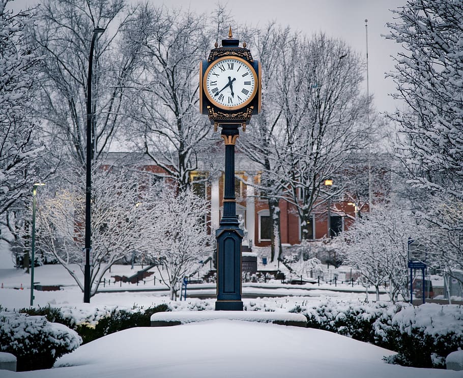 pole, clock, snow, outside, winter, tree, nature, cold temperature HD wallpaper