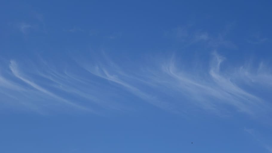 cirrus, clouds, filaments, weather, sky, background, blue, cloud - sky, HD wallpaper