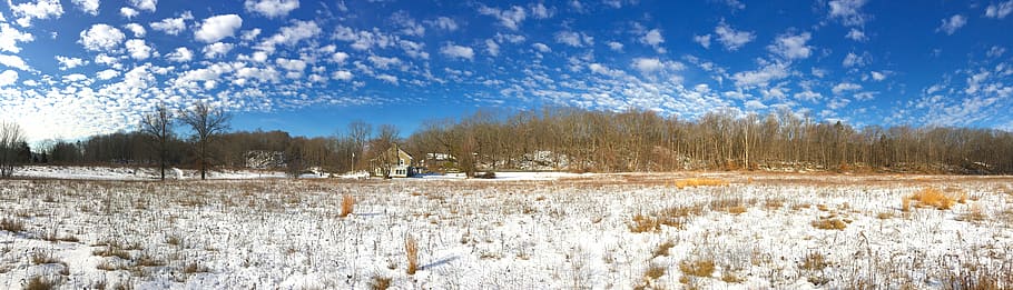 snow, landscape, sky, winter, cold, season, nature, frost, blue HD wallpaper