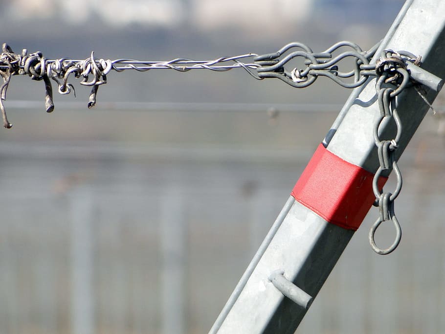 Vineyard, Fixing, Wire, Vines, Post, mark, suspension, branch HD wallpaper