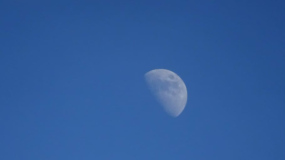 moon, half, blue sky, space, night, astronomy, low angle view HD wallpaper