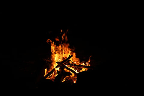 burned firewood, woods, burning, dark, flame, light, hot, camp HD wallpaper