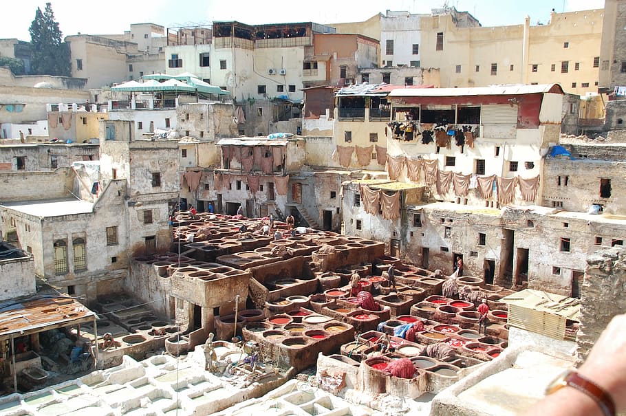 concrete buildings at daytime, morocco, learn, color, work, fez