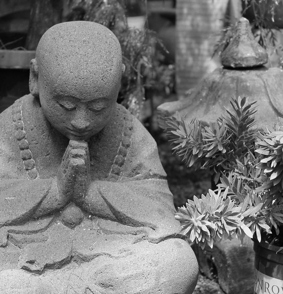 gray concrete meditating buddha statuette near plants, buddhism, HD wallpaper