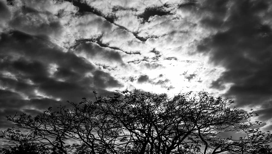 sky, trees, clouds, nature, black man, cloud - Sky, outdoors HD wallpaper